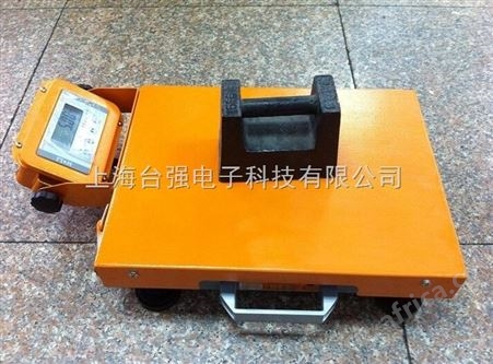 便携式物流秤|上海电子秤厂家
