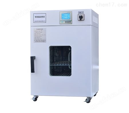 LDO-300电热恒温干燥箱 化验室恒温烘箱