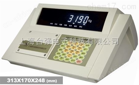 XK3190-DS1显示器上海地磅衡器仪表