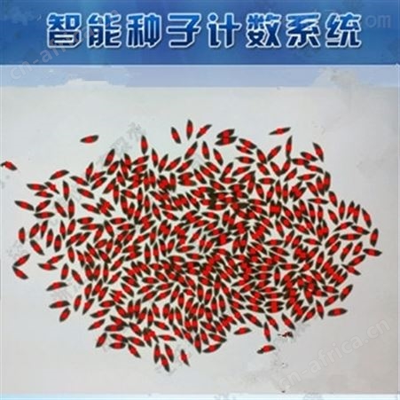 SLY-CY种子自动数粒仪 绿博大小颗粒数粒器