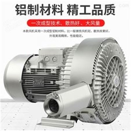 旋涡气泵-高压气泵