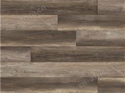 OAK 819