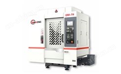 DM-T6