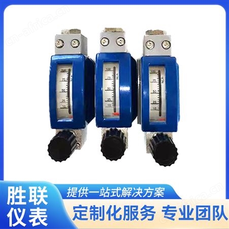 气液体金属管转子流量计