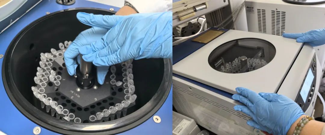 离心浓缩仪在脂质代谢物中的应用